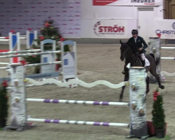 Reitturnier Negernbötel 2020, 5. Nordic Jumping event 2020/2021