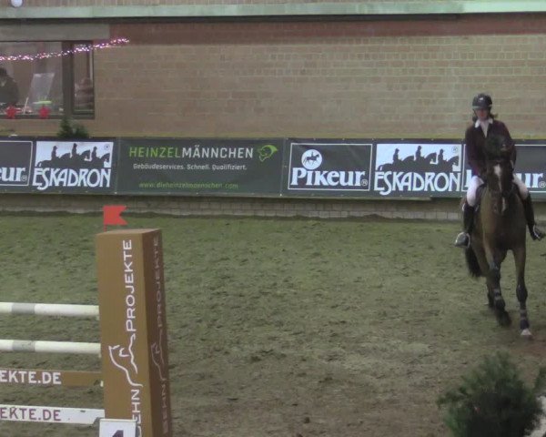 Reitturnier Paderborn 2020
