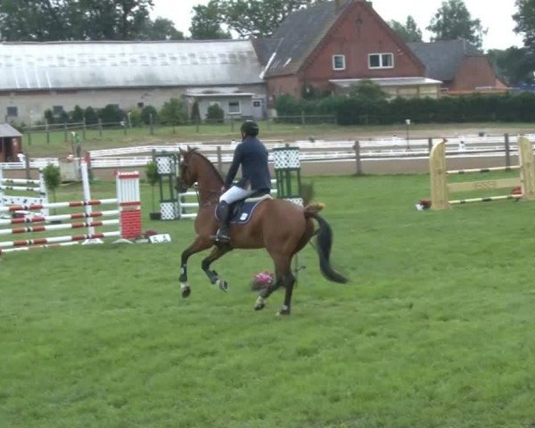 jumper La Fino W (Holsteiner, 2008, from Landos)