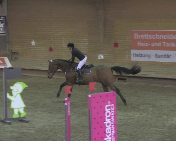 Reitturnier Paderborn 2020