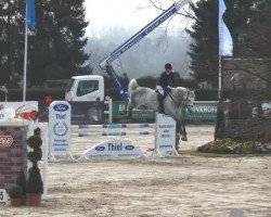 jumper Denver 211 (KWPN (Royal Dutch Sporthorse), 2008)