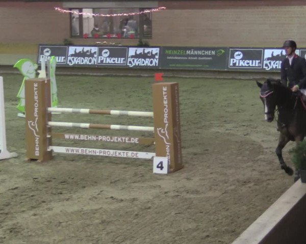Reitturnier Paderborn 2020