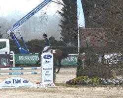 jumper Diablo 113 (KWPN (Royal Dutch Sporthorse), 2008, from Clinton)