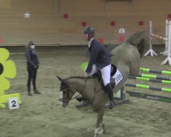 Reitturnier Paderborn 2020