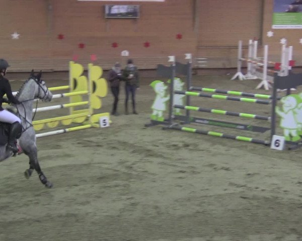 Reitturnier Paderborn 2020