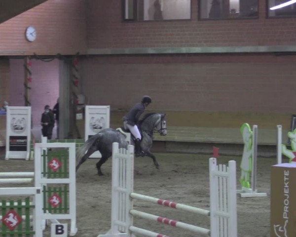 Reitturnier Paderborn 2020