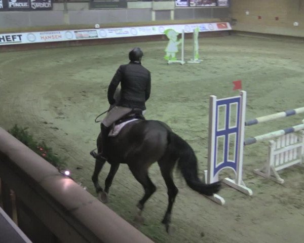 Reitturnier Paderborn 2020
