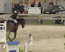 jumper Romanow 72 (Zweibrücken, 2007, from Rodney)