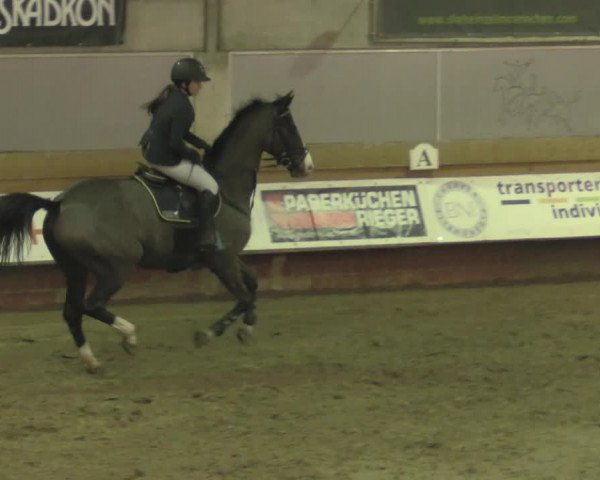 Reitturnier Paderborn 2020