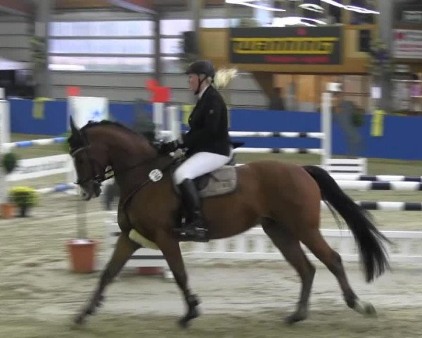 jumper Lescadeur B (Oldenburg, 2009, from Hh Linton)