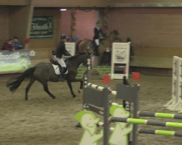 Reitturnier Paderborn 2020