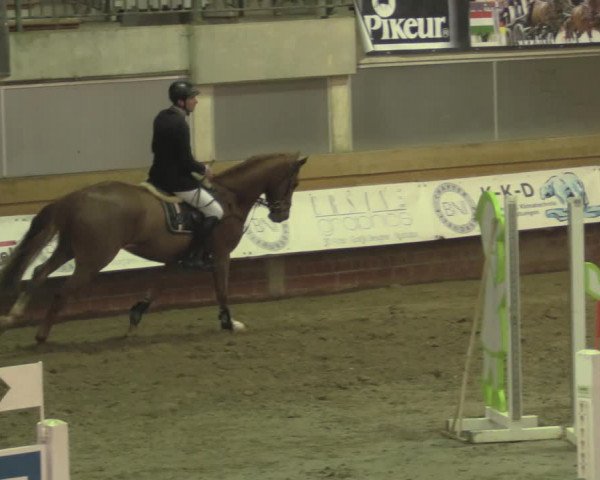 Reitturnier Paderborn 2020