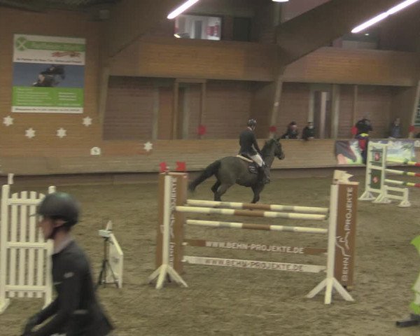 Reitturnier Paderborn 2020