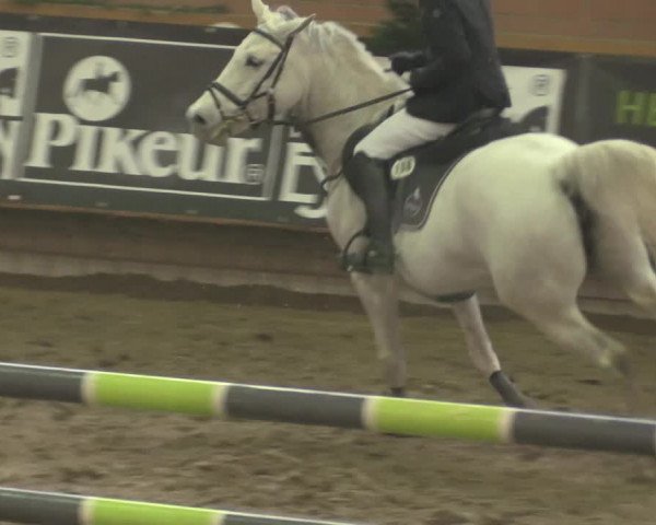 Reitturnier Paderborn 2020