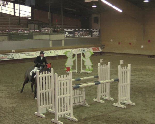 Reitturnier Paderborn 2020
