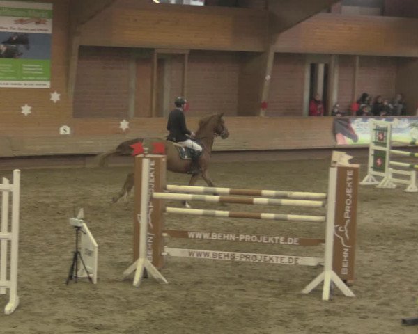Reitturnier Paderborn 2020