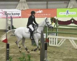 jumper Gorki F (Belgian Warmblood, 2006, from VDL Cardento 933)