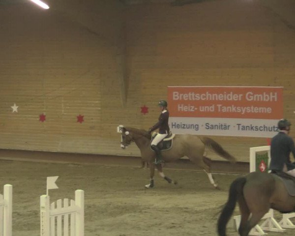 Reitturnier Paderborn 2020