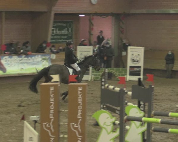 Reitturnier Paderborn 2020