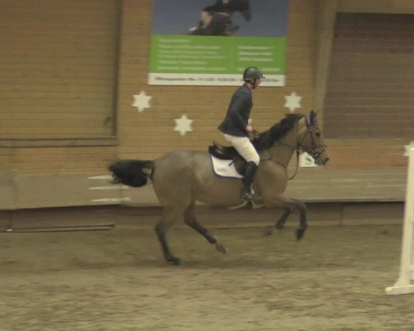 Reitturnier Paderborn 2020