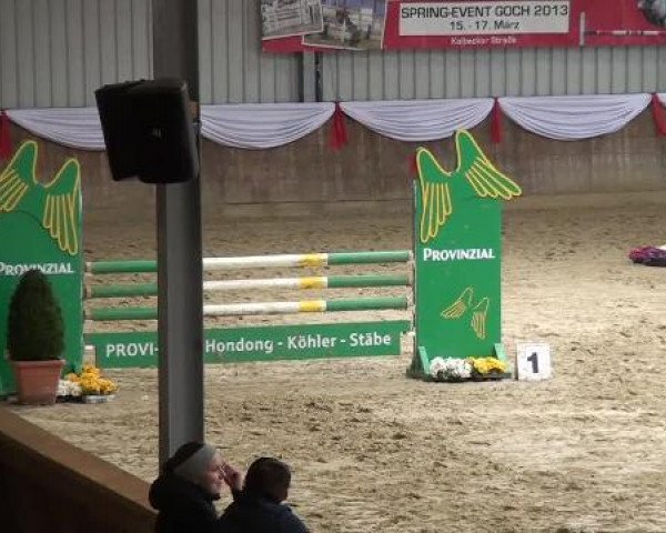 jumper Coulthard 13 (KWPN (Royal Dutch Sporthorse), 1993, from Pkz Contact van de Heffinck)