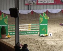 Springpferd Coulthard 13 (KWPN (Niederländisches Warmblut), 1993, von Pkz Contact van de Heffinck)