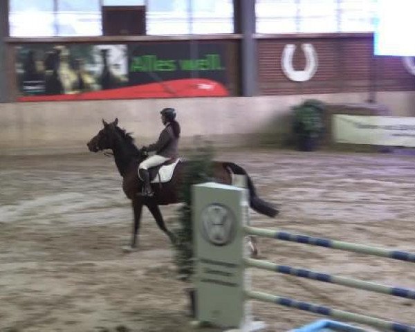 jumper Corinna R (Westphalian, 2007, from Collin L)