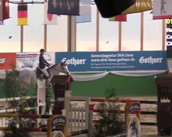jumper Cascade P (Rhinelander, 2008, from Cassini Boy Junior)