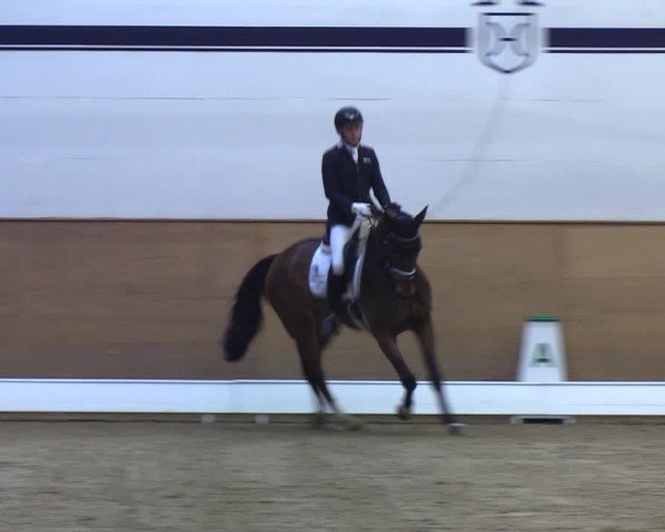 Reitturnier Elmshorn 2020