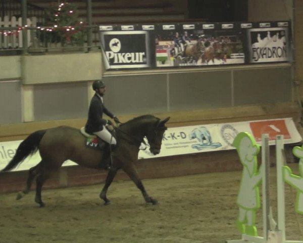 Reitturnier Paderborn 2020