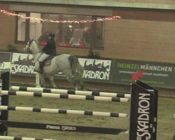 Reitturnier Paderborn 2020