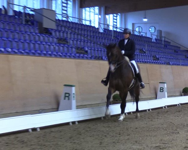 Reitturnier Elmshorn 2020