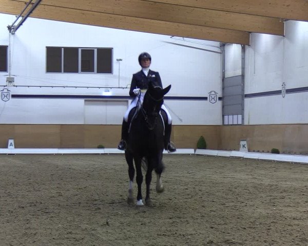 Reitturnier Elmshorn 2020