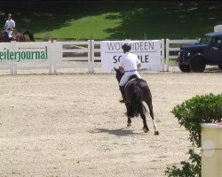 jumper Bibi 42 (KWPN (Royal Dutch Sporthorse), 2005, from Dutch Capitol)
