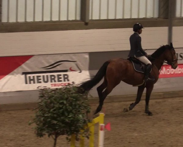 Reitturnier Luhmühlen 2020