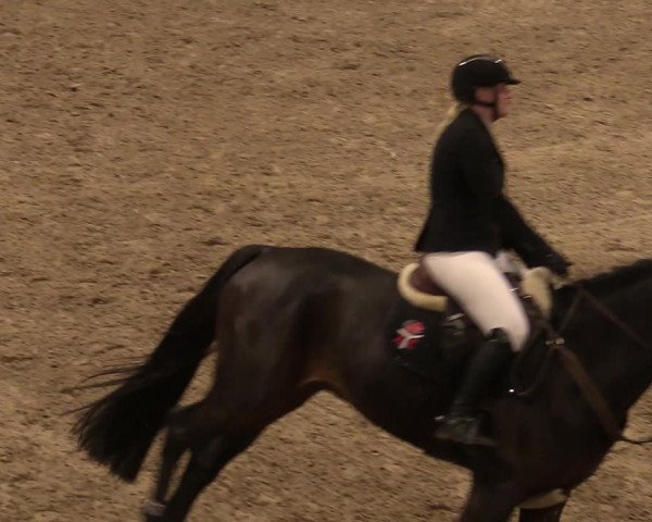 Reitturnier Luhmühlen 2020
