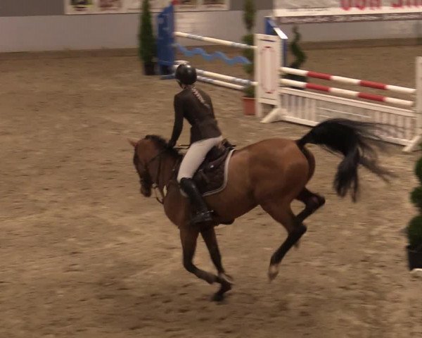 Reitturnier Luhmühlen 2020