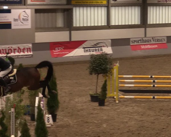 Reitturnier Luhmühlen 2020
