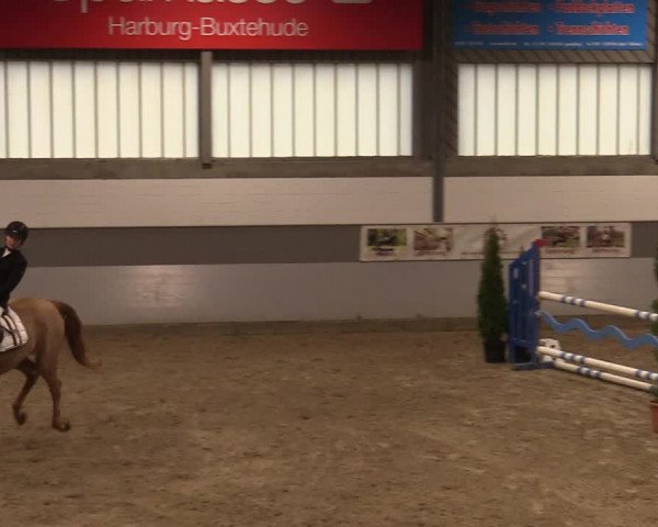 Reitturnier Luhmühlen 2020