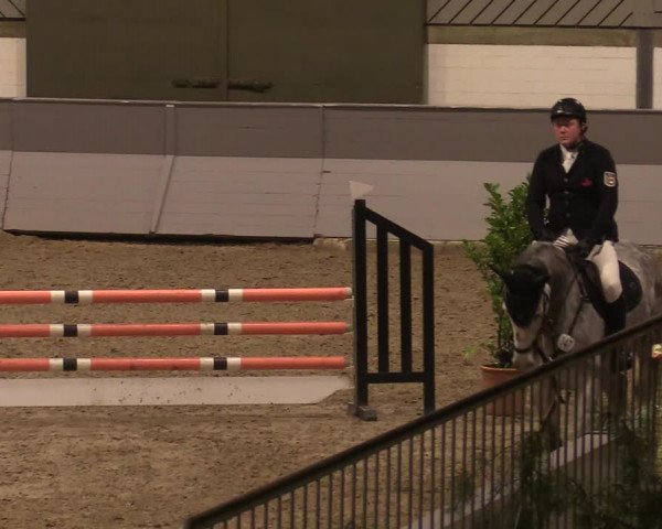 Reitturnier Luhmühlen 2020