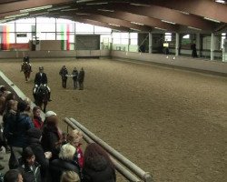 horse Ricciano 9 (Westphalian, 2009, from Riccio)