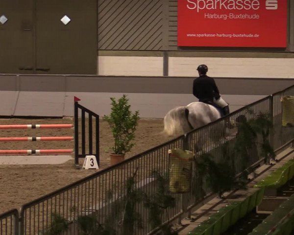 Reitturnier Luhmühlen 2020