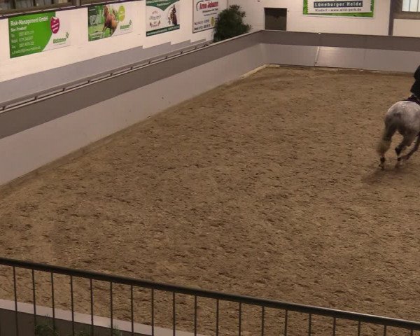 Reitturnier Luhmühlen 2020