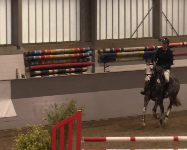 Reitturnier Luhmühlen 2020