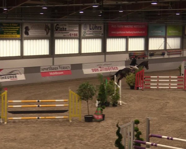 Reitturnier Luhmühlen 2020