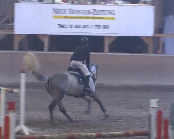 broodmare For Nova (Hanoverian, 2007, from For Edition)