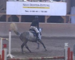 broodmare For Nova (Hanoverian, 2007, from For Edition)