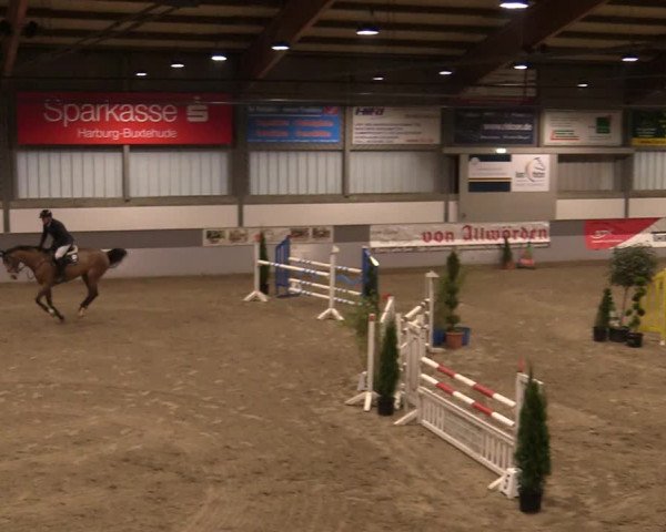 Reitturnier Luhmühlen 2020
