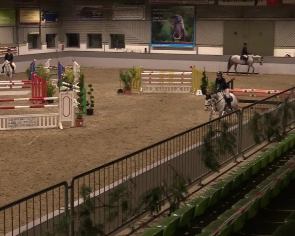Reitturnier Luhmühlen 2020