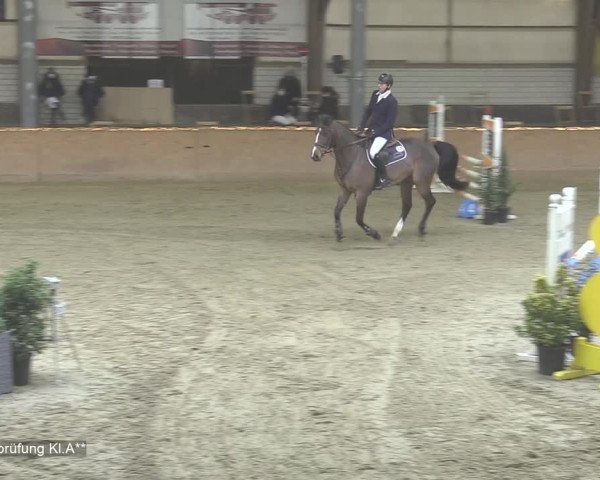 Reitturnier Isterberg 2020